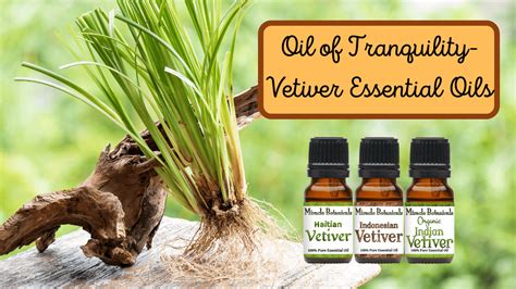 meaning of vetiver|spiritual meaning of vetiver oil.